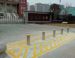 碧桂園小學(xué)